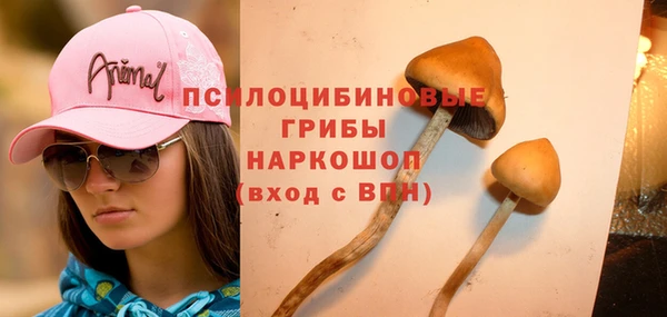 героин Алексин