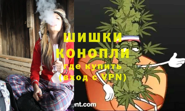 амф Алзамай