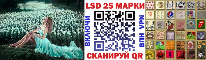Марки 25I-NBOMe 1,5мг  где продают наркотики  Чернушка 